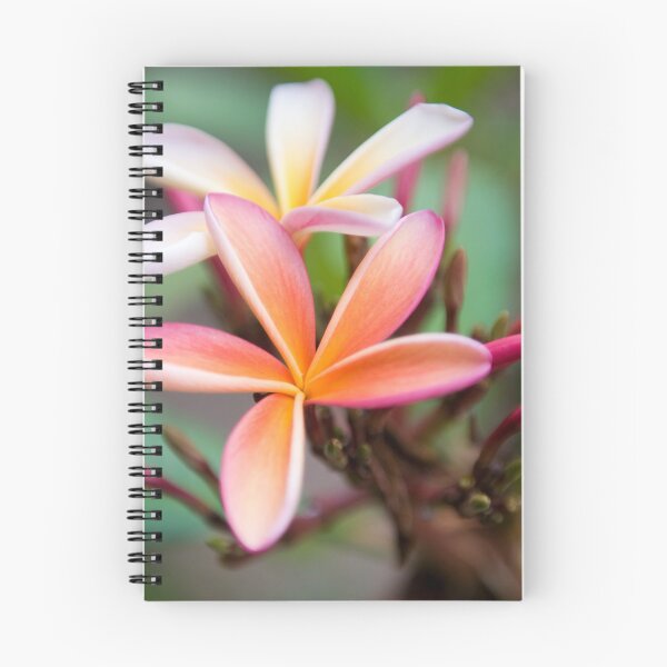 Item preview, Las madres los aman designed and sold by Craig Goldsmith.