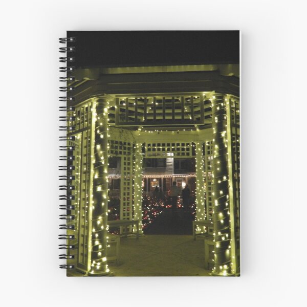 Item preview, FESTIVAL of LIGHTS - Richmond, VA        ^ designed and sold by ctheworld.