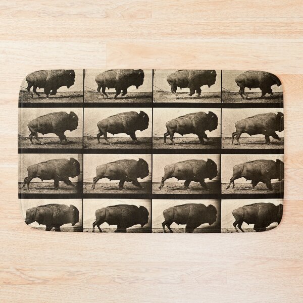 Item preview,  Eadweard Muybridge Animal locomotion. Plate 700  designed and sold by Elena Ray.