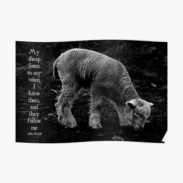 My Sheep Hear My Voice Poster