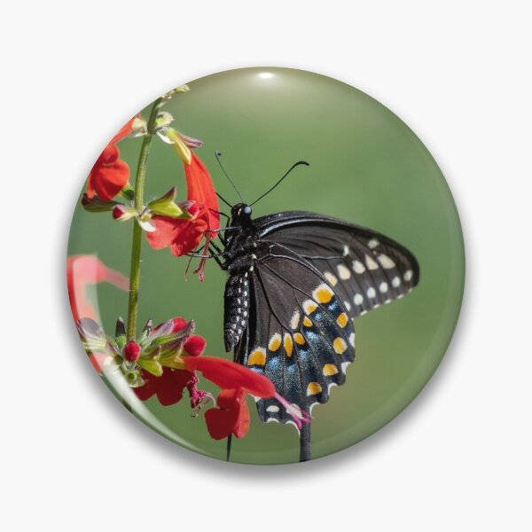 Item preview, Butterfly Garden designed and sold by suburbanwilds.
