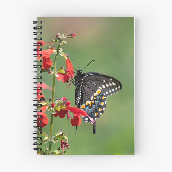 Item preview, Butterfly Garden designed and sold by suburbanwilds.