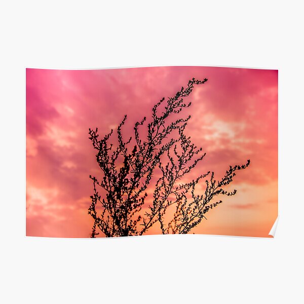 Shadows and colors of the sky, photo Poster