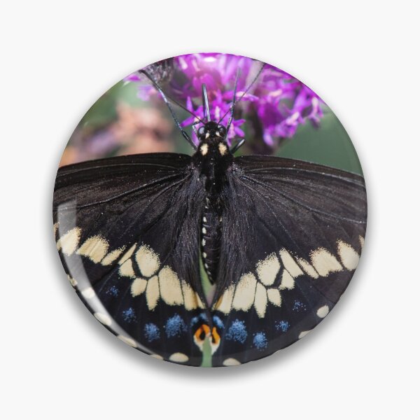 Item preview, Black Swallowtail designed and sold by suburbanwilds.
