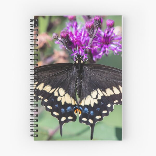 Item preview, Black Swallowtail designed and sold by suburbanwilds.