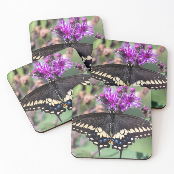 Item preview, Black Swallowtail designed and sold by suburbanwilds.