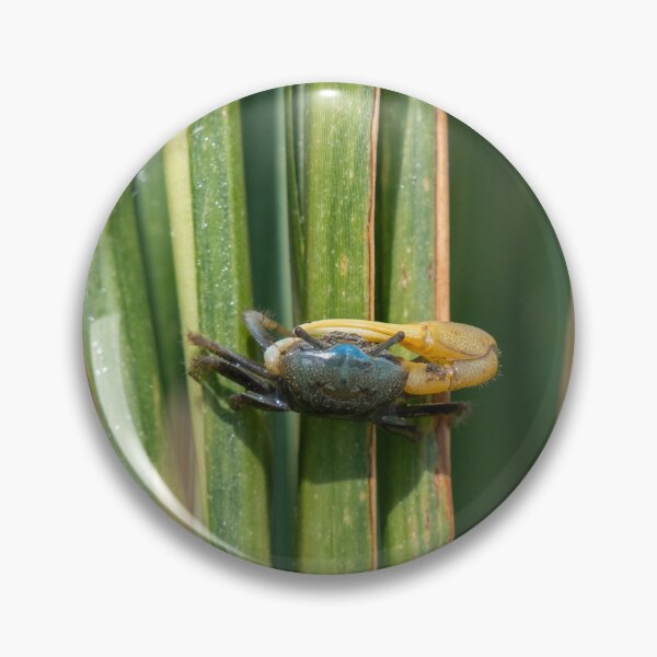Item preview, Fiddler Crab Grass designed and sold by suburbanwilds.