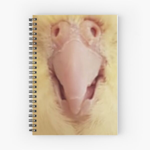 Item preview, Mascarilla Cockatiel Bird Beak Parrot designed and sold by Funtimedesign.