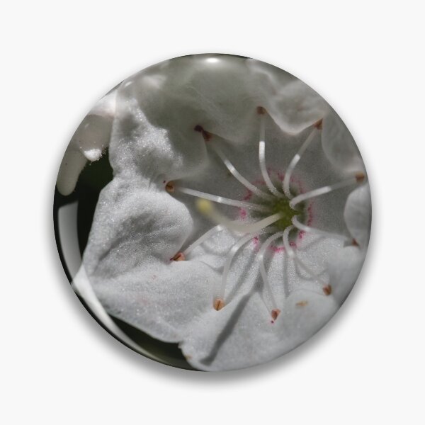 Item preview, Mountain Laurel designed and sold by suburbanwilds.