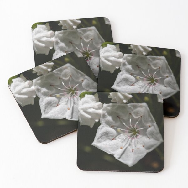 Item preview, Mountain Laurel designed and sold by suburbanwilds.