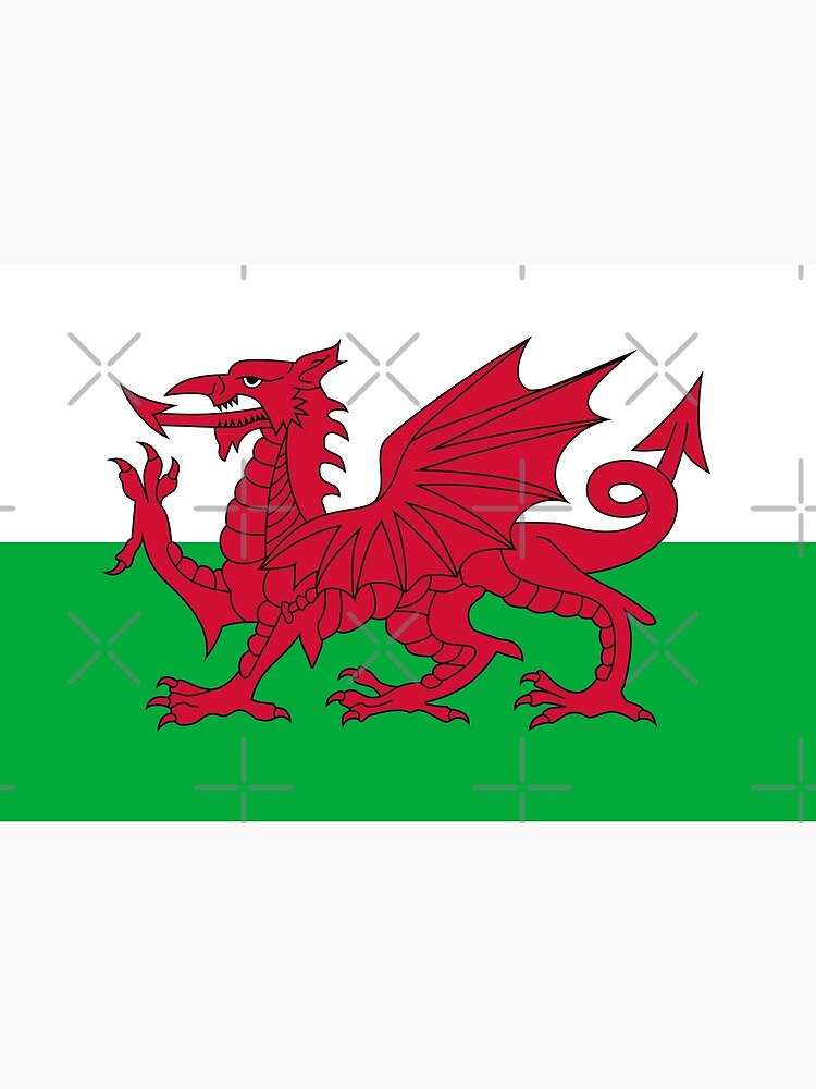 Flag of Wales - Welsh Flag by Bruiserstang