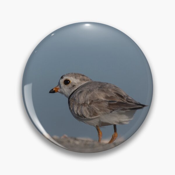 Item preview, Piping Plover designed and sold by suburbanwilds.
