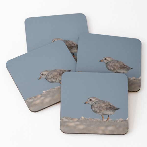 Item preview, Piping Plover designed and sold by suburbanwilds.