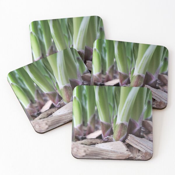 Item preview, Shooting Sprouts designed and sold by JJPumpkins.