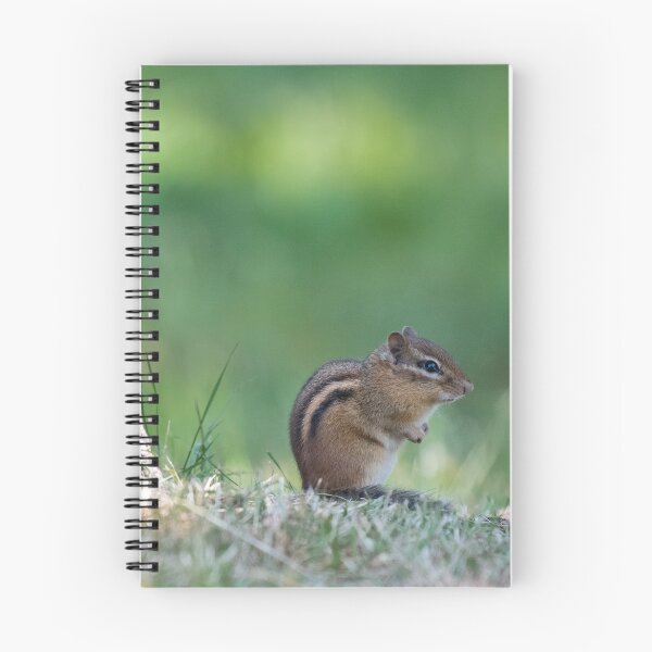 Item preview, Chippy designed and sold by suburbanwilds.