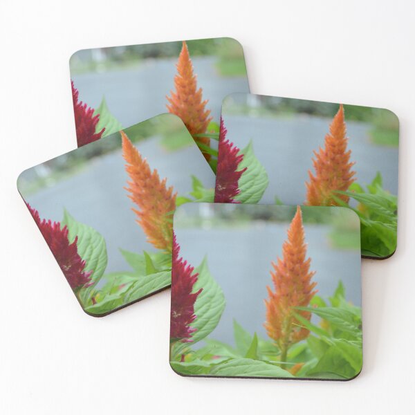 Item preview,  CELOSIA[fall flowers] designed and sold by Fiveladiesart.