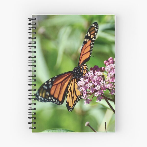 Item preview, Butterfly on Milkweed designed and sold by lisapicklepizza.