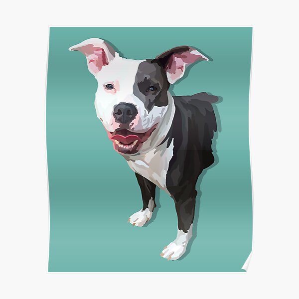 Decoracion Pitbull Gris Y Blanco Redbubble