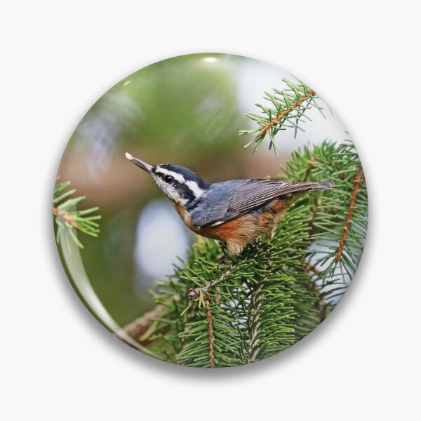 Item preview, Red Breasted Nuthatch With Seed designed and sold by Deb Oppermann.