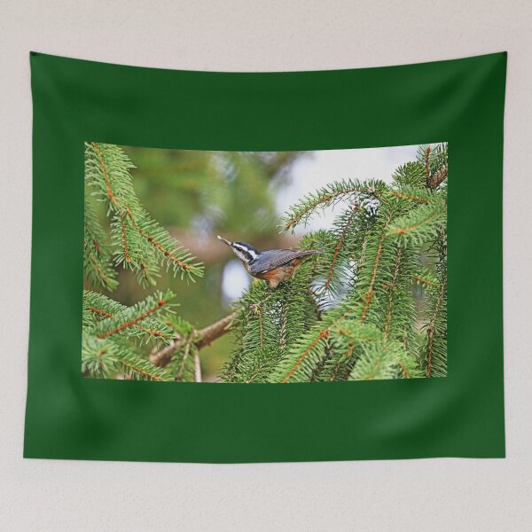 Item preview, Red Breasted Nuthatch With Seed designed and sold by Deb Oppermann.