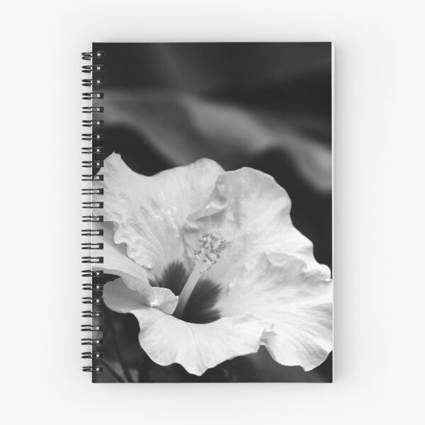 Item preview, Hibiscus Black And White designed and sold by Deb Oppermann.