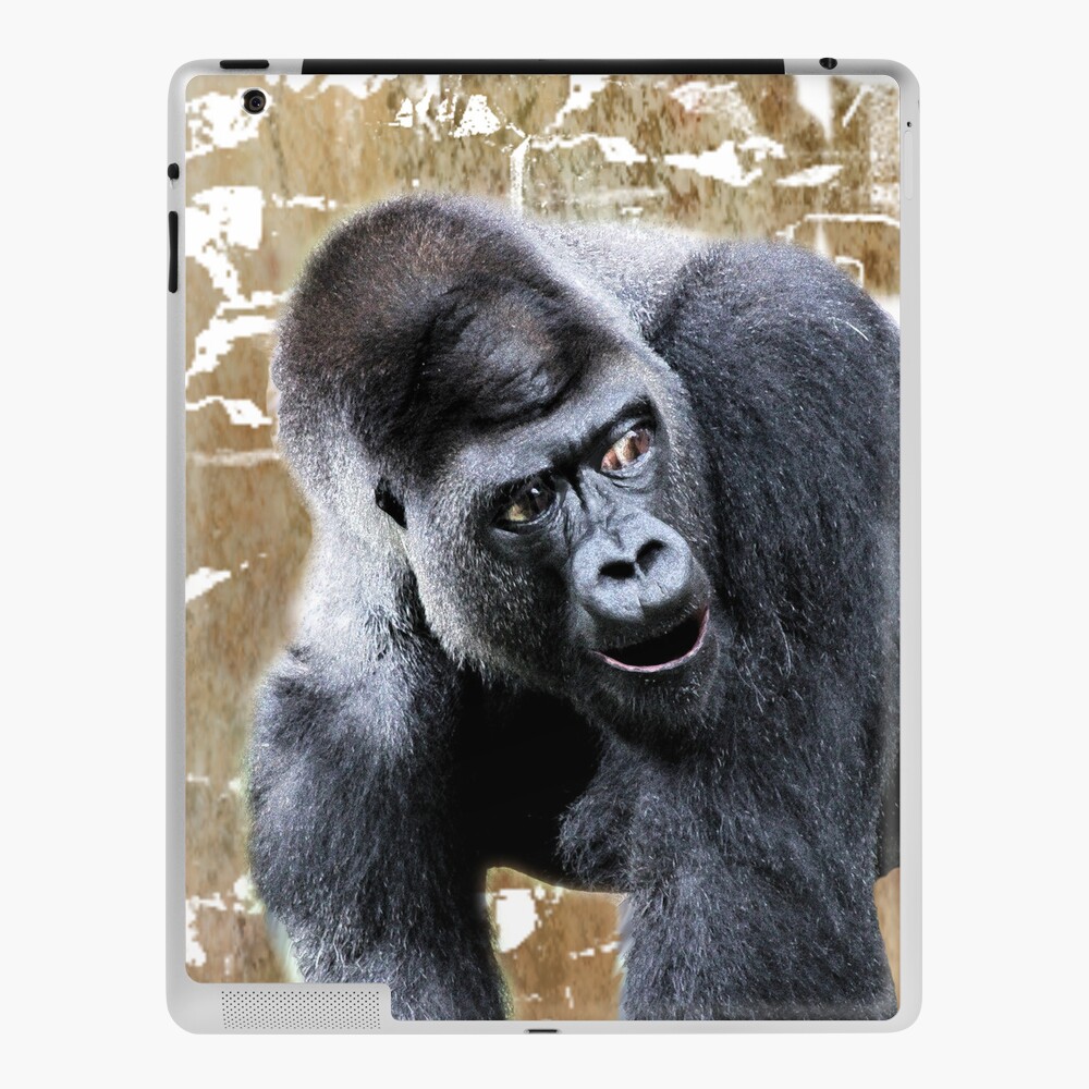 Gorilla Ape Card, Cute Greetings Card, Blank Cards With Envelope, Wildlife  Design Cards, Any Occasion Card, Gorilla Card, Gorilla Gifts -  Norway