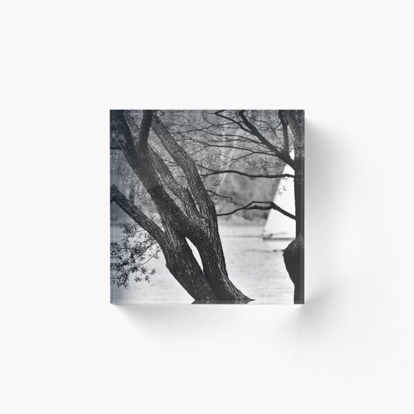 THE tree Acrylic Block