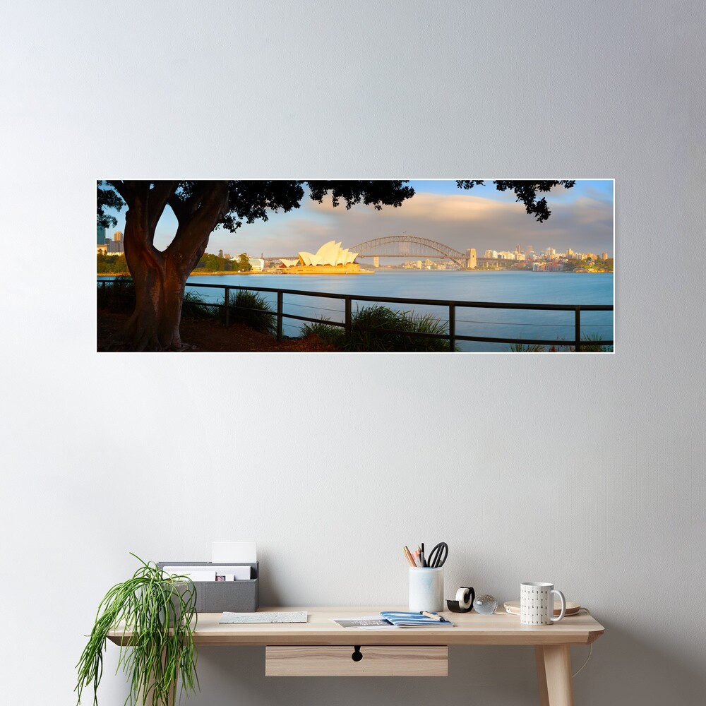 One Morning in Sydney, New South Wales, Australia Poster