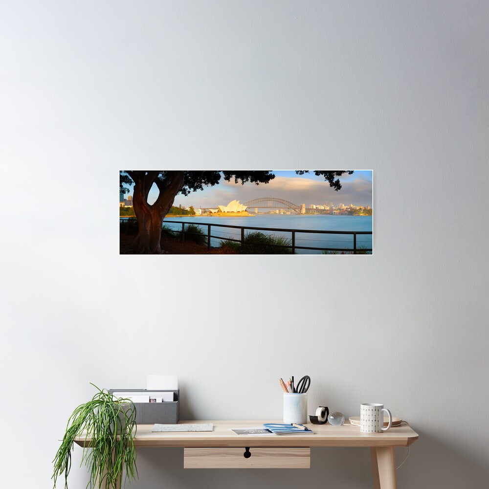 One Morning in Sydney, New South Wales, Australia Poster