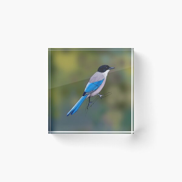Item preview, Iberian Magpie designed and sold by Callado.