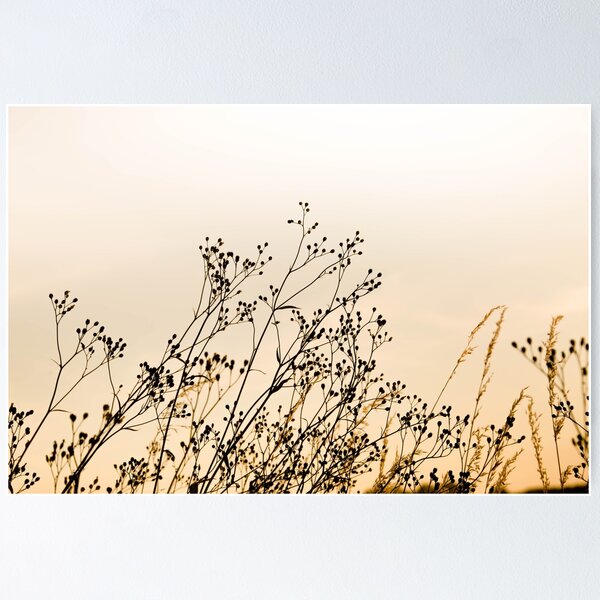 Item preview, Plant shade, nature decoration designed and sold by Stéphane  Thirion.