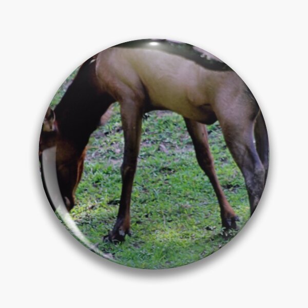 Item preview, GRAZING ELK designed and sold by BOLLA67.
