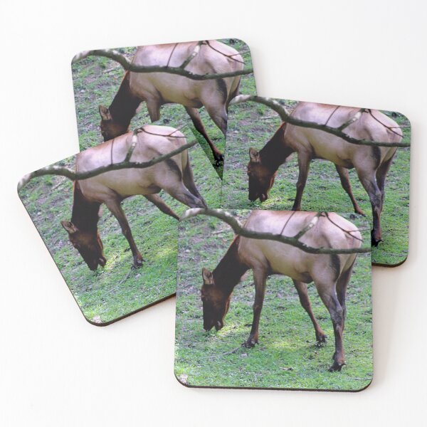 Item preview, GRAZING ELK designed and sold by BOLLA67.