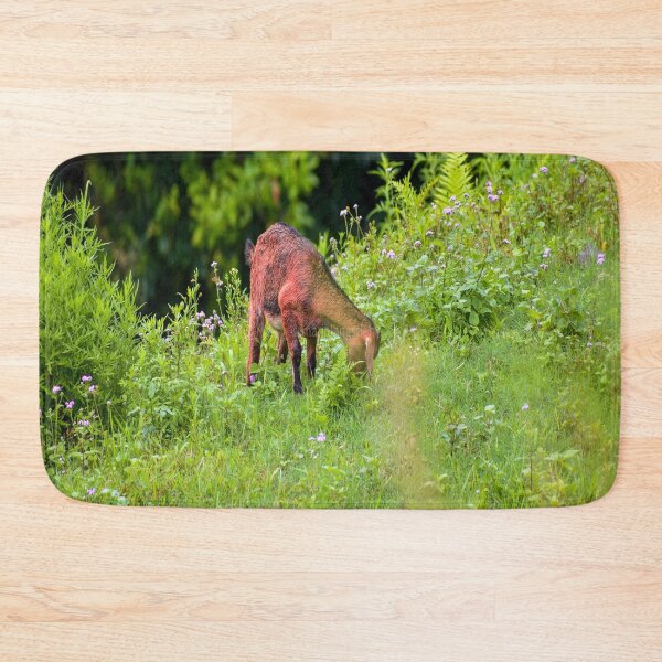 Item preview, Little grazing goat designed and sold by Mariolangstieh.
