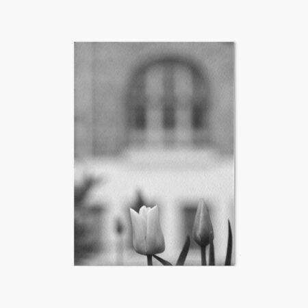 Blossom Art Board Print