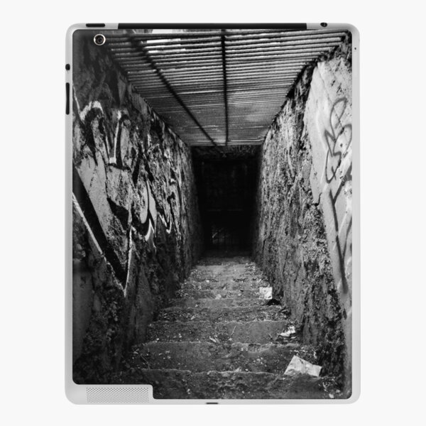 Descend iPad Skin