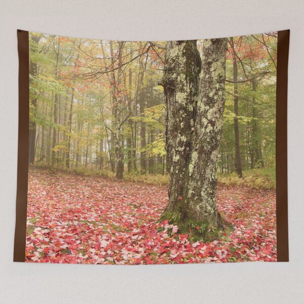 Item preview, Foggy Fall Wonderland designed and sold by Autumn Seas Photography.