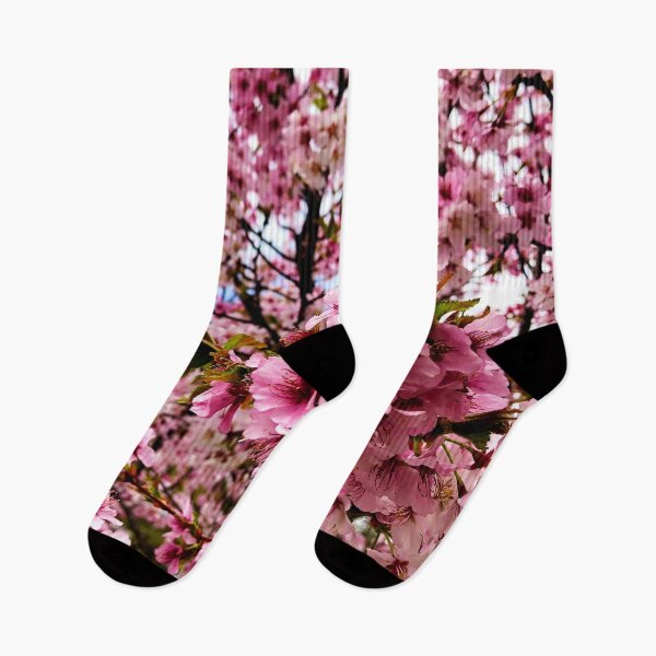 Aperçu de l'œuvre Fleurs de cerisier Sakura Hanami créée et vendue par GhostGumDesigns.