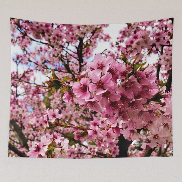 Aperçu de l'œuvre Fleurs de cerisier Sakura Hanami créée et vendue par GhostGumDesigns.