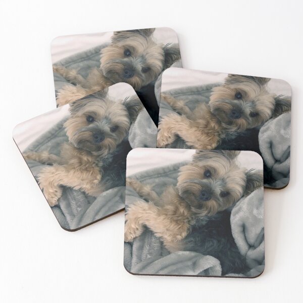 Item preview, Truman Yorkie Puzzle designed and sold by YoungBlossoms.