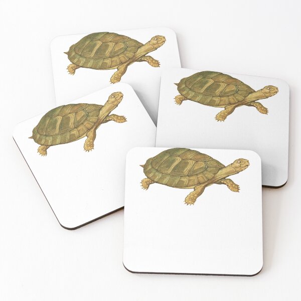 Item preview, Slow and Steady Wins the Race Tortoise and the Hare Fable designed and sold by madeulaugh.