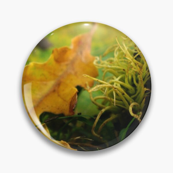 Item preview, Bur Acorn with Autumn Leaves designed and sold by Nalinne Jones.