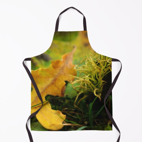 Item preview, Bur Acorn with Autumn Leaves designed and sold by Nalinne Jones.