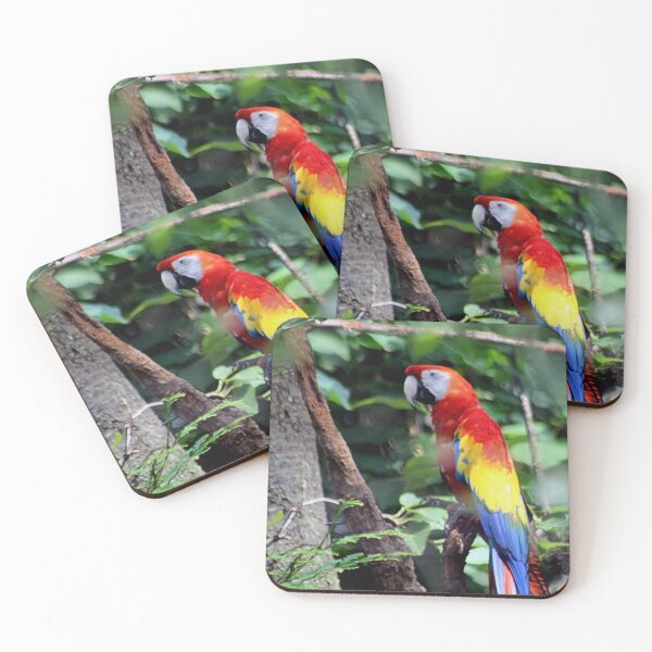 Item preview, VIBRANT designed and sold by BOLLA67.