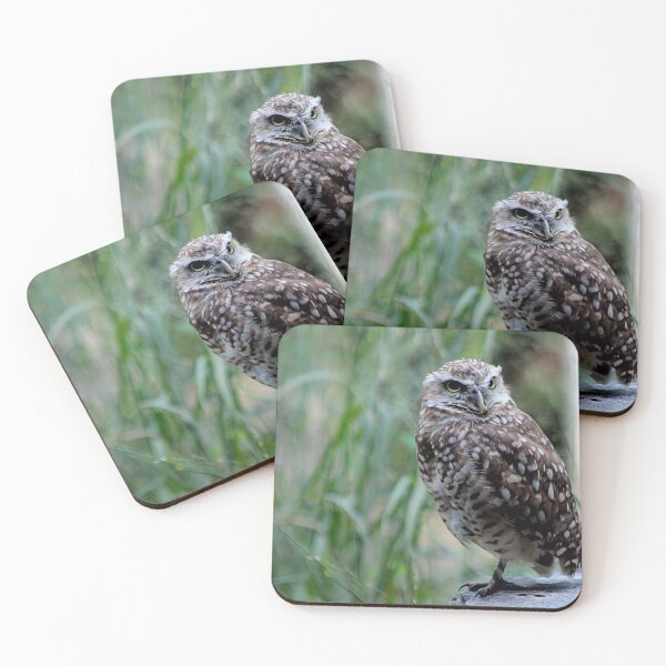 Item preview, BALANCING OWL designed and sold by BOLLA67.