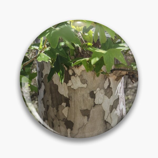 Item preview, Eucalyptus Tree  designed and sold by heatherfriedman.