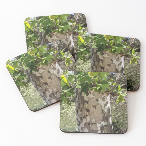 Item preview, Eucalyptus Tree  designed and sold by heatherfriedman.