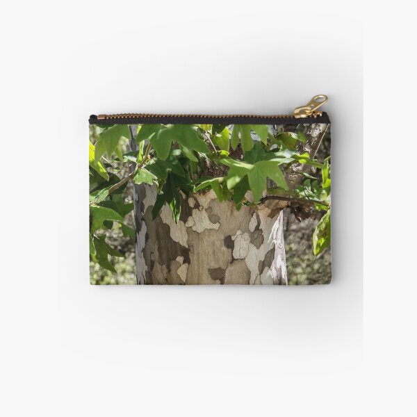 Item preview, Eucalyptus Tree  designed and sold by heatherfriedman.