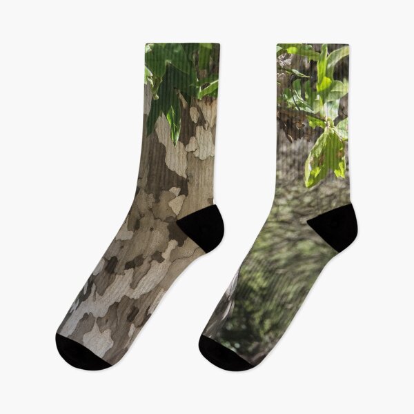 Item preview, Eucalyptus Tree  designed and sold by heatherfriedman.