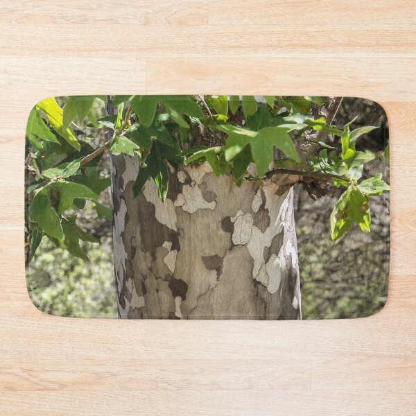 Item preview, Eucalyptus Tree  designed and sold by heatherfriedman.